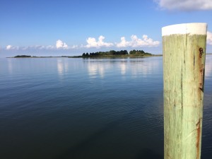 barrier islands near Crisfield 3